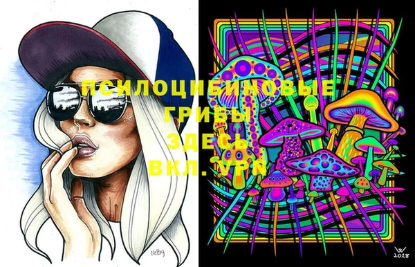 дурь Алексеевка