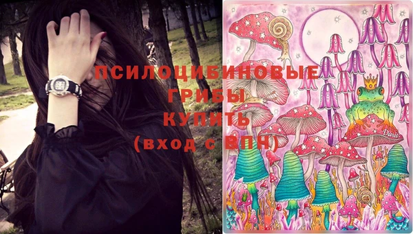 дурь Алексеевка