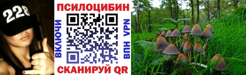 Галлюциногенные грибы прущие грибы  купить наркотик  Вышний Волочёк 
